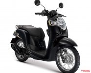 scoopy-4-1781757327191-178175732784547006569.jpg