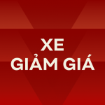 vuong-2-16808598808931463359129.png
